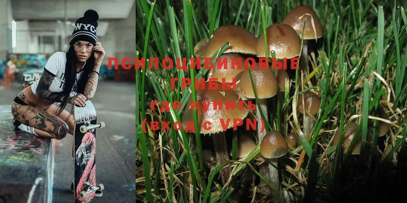 Галлюциногенные грибы Magic Shrooms  купить наркоту  Тюкалинск 